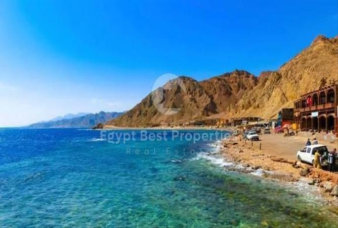 7905027 - صورة العقار 2