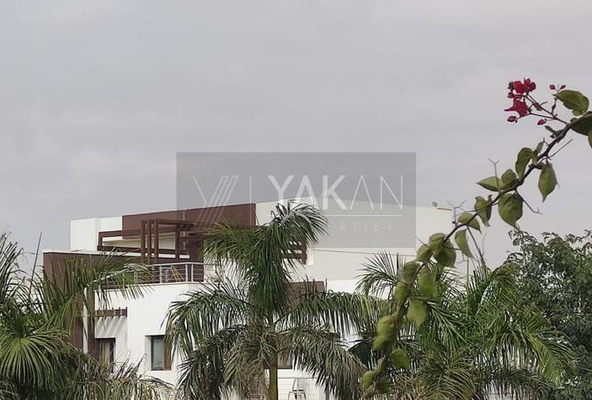 8353552 - Property Main Image