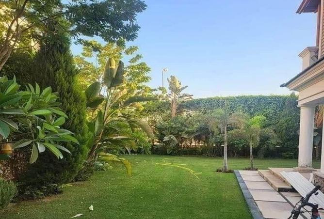 8093648 - صورة العقار 3