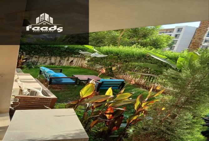 7969829 - Property Image 2