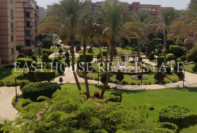 8200174 - صورة العقار 3