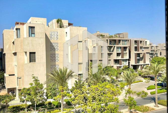 8206293 - Property Image 3