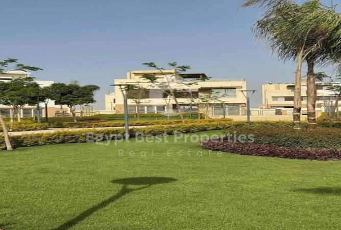 8118012 - Property Image 3