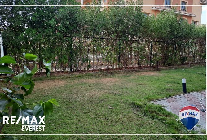 8123392 - Property Image 2