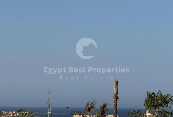 8452191 - Property Image 3