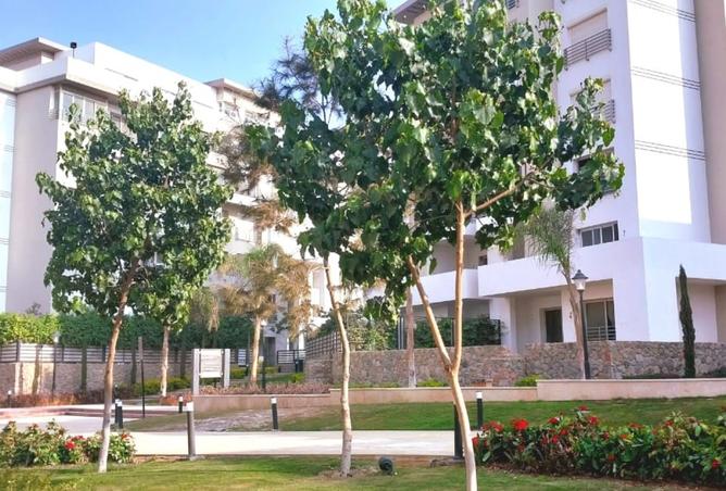 8558156 - صورة العقار 2