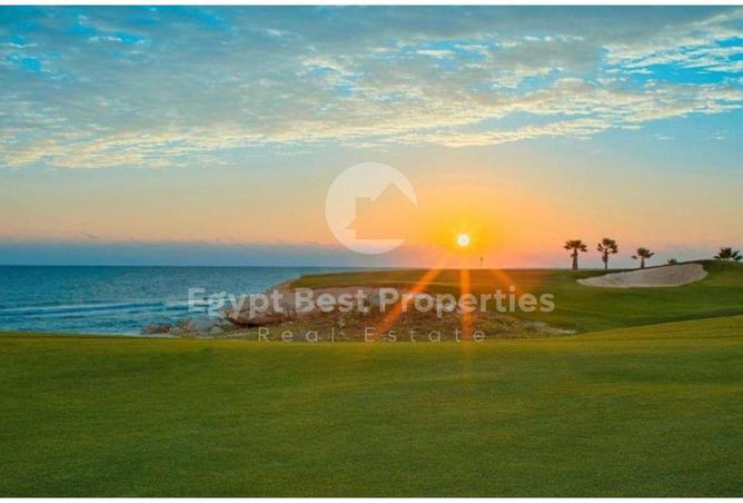 8448682 - صورة العقار 2