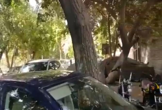 8538541 - صورة العقار 2