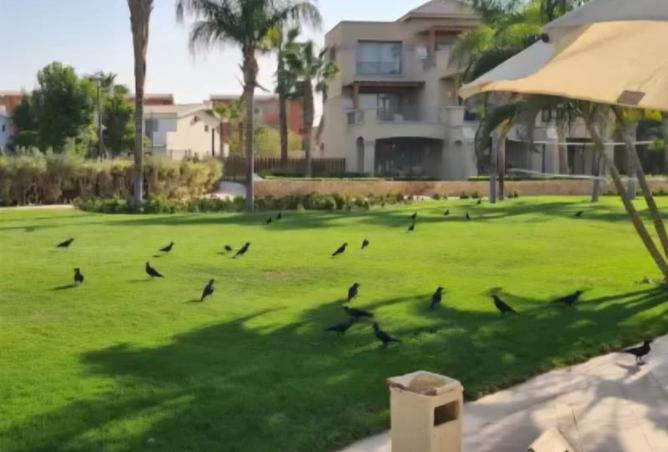 8328828 - صورة العقار 2