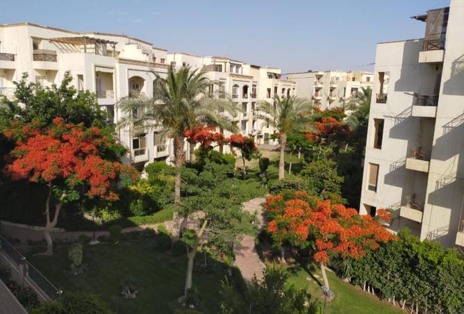 8008504 - الصورة الرئيسية للعقار