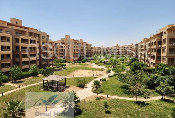 8149898 - Property Image 3