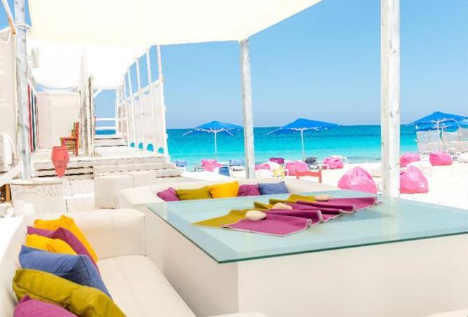 8394245 - صورة العقار 2