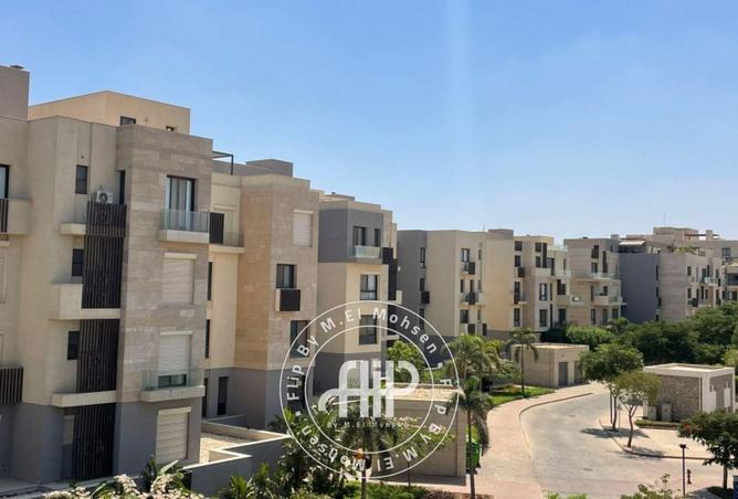 8126402 - Property Image 3