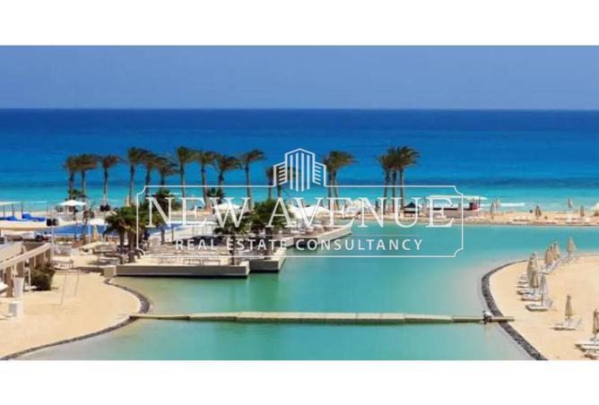 8097041 - صورة العقار 2