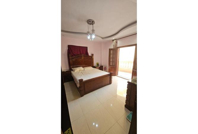 8238339 - Property Image 3