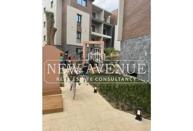 8212311 - Property Image 2