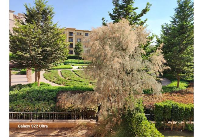 8260245 - صورة العقار 3