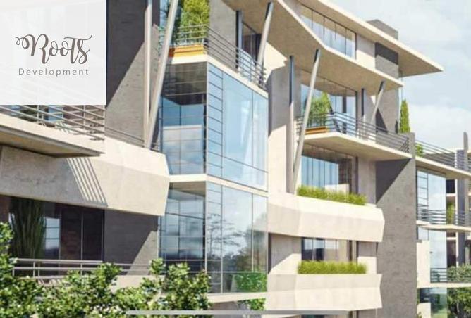 8166926 - Property Image 3