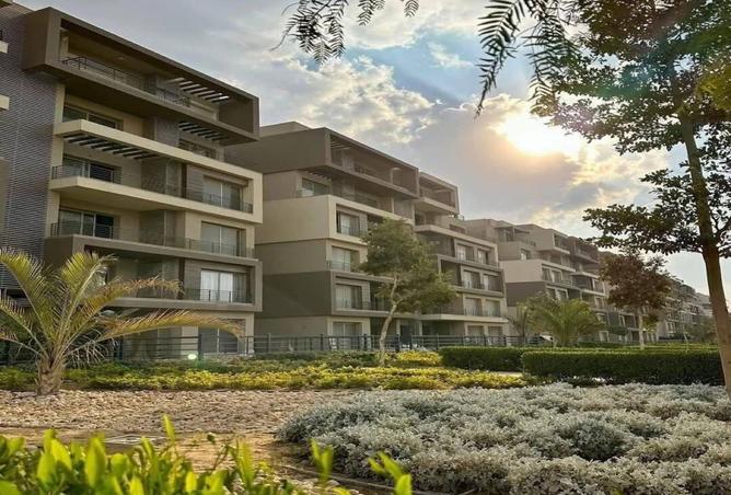 8250627 - Property Image 3