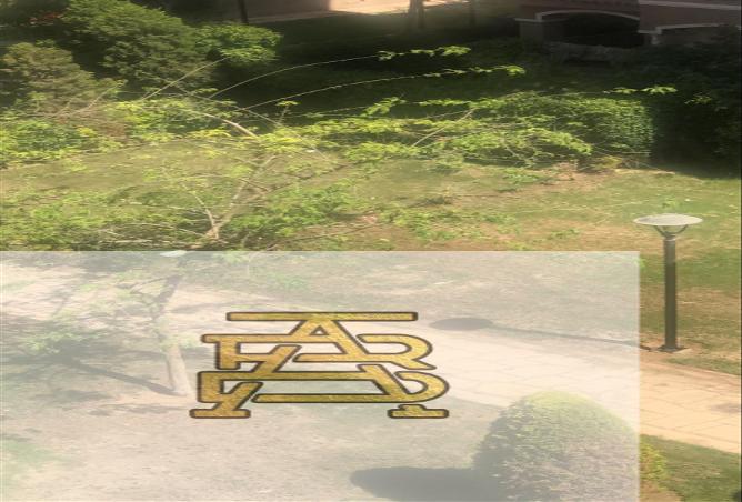 7968158 - صورة العقار 2
