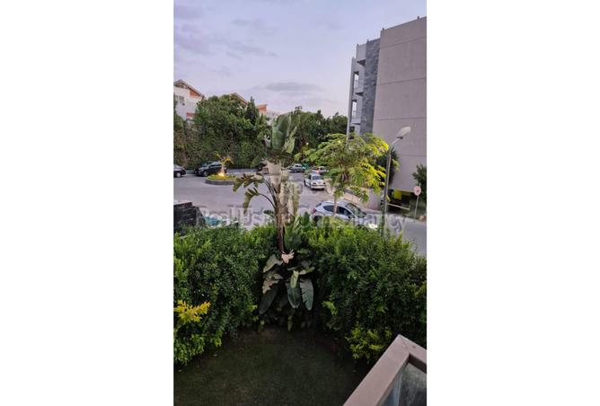 7987265 - Property Image 2