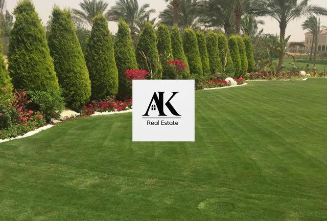 8262218 - صورة العقار 2