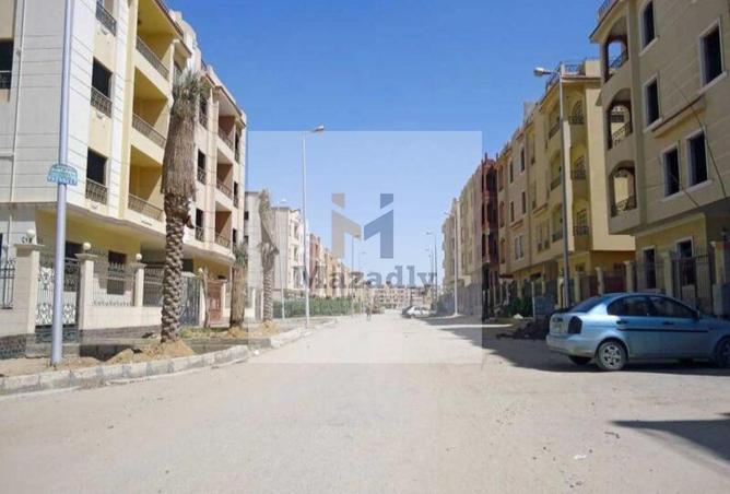 8393327 - Property Image 3