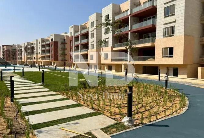 7941708 - صورة العقار 3