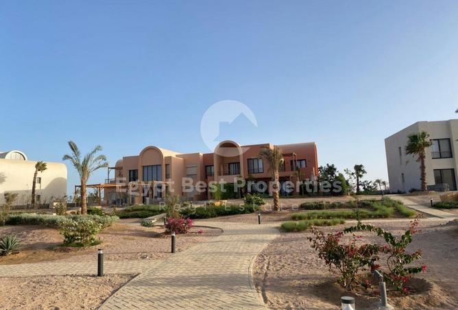 8403068 - Property Image 3