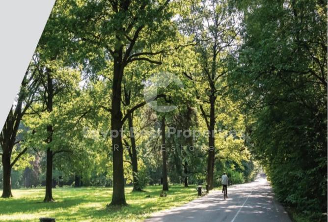 8238364 - Property Image 3