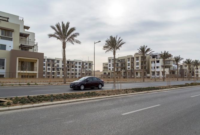 8240212 - Property Image 3