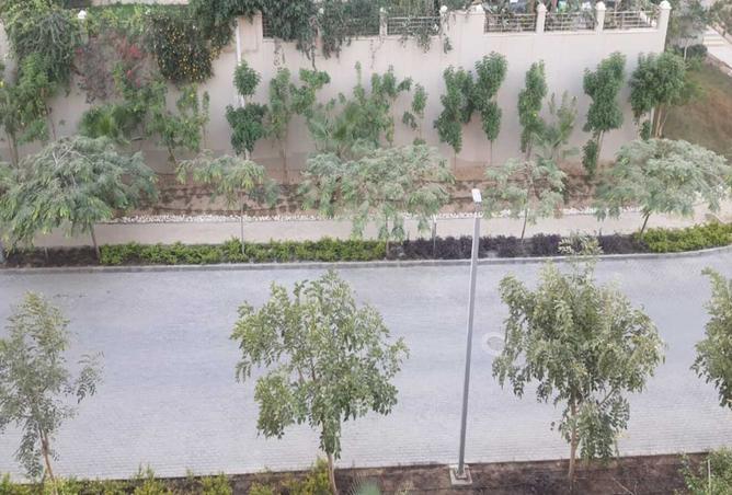 8180996 - صورة العقار 3