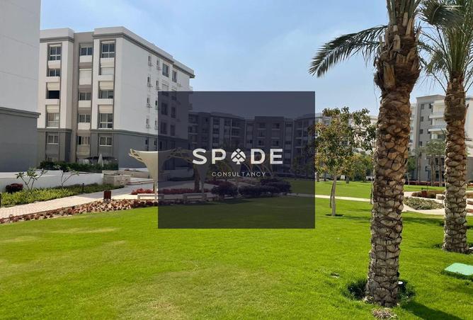 8323411 - Property Image 3