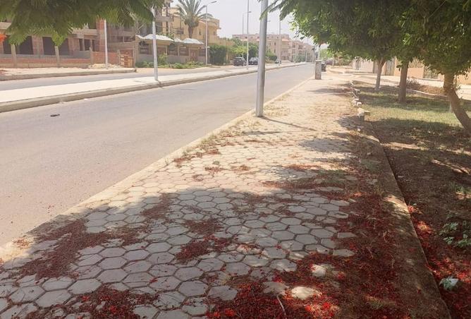 8145078 - صورة العقار 3