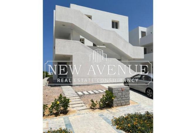 8092196 - Property Image 3