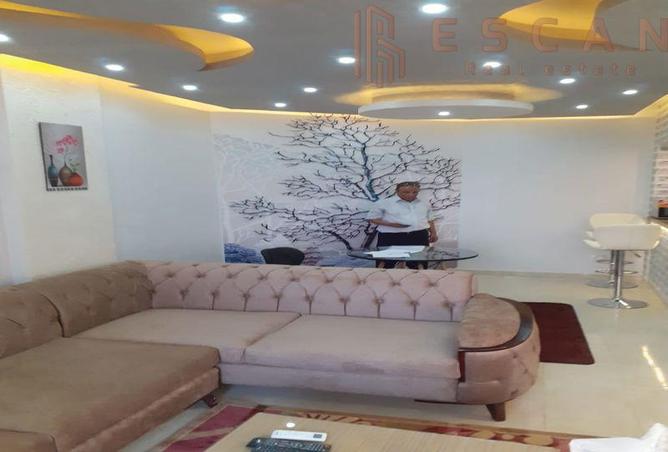 7973993 - صورة العقار 3