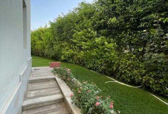 8002010 - صورة العقار 3