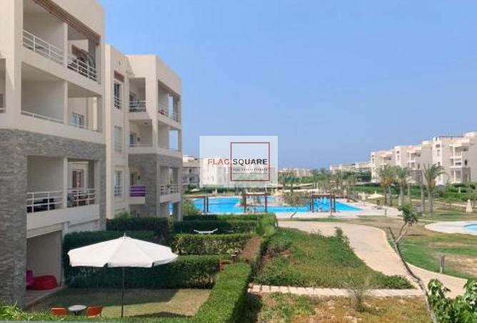 8081045 - Property Image 2