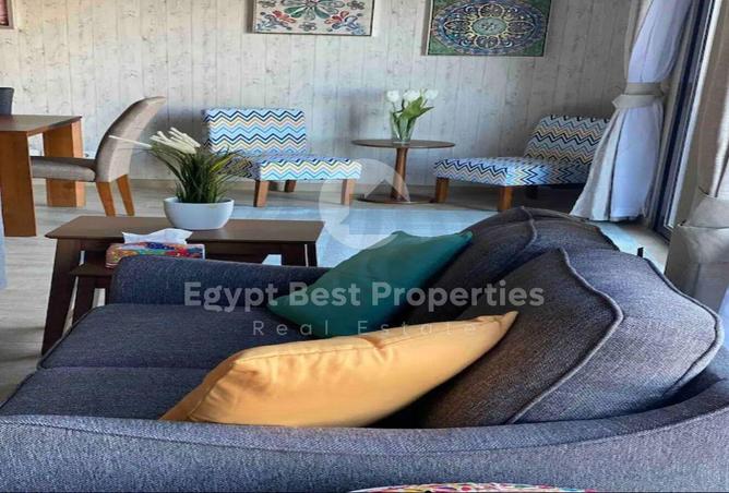 8036723 - Property Image 3