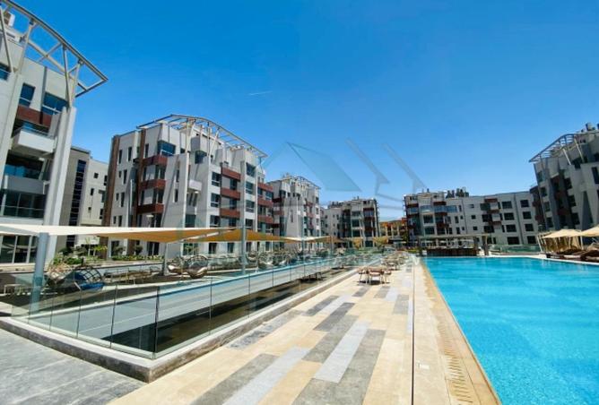 8418455 - Property Image 3