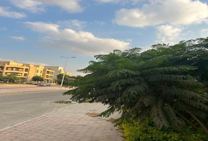 8108109 - Property Image 3