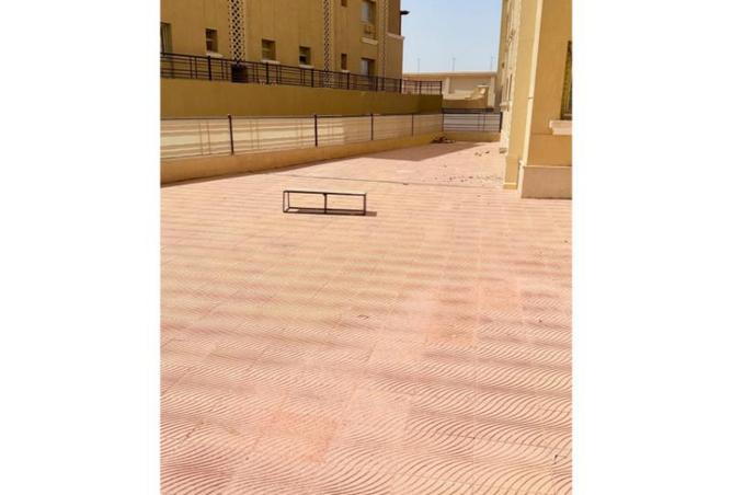 8046658 - Property Image 3