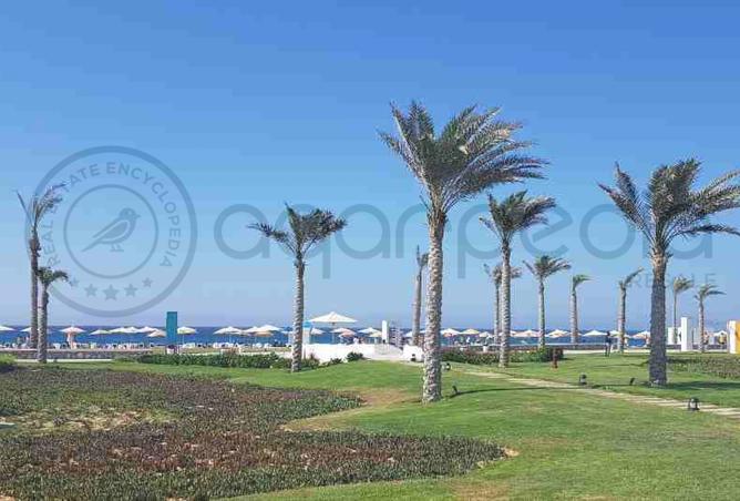 8213910 - صورة العقار 3