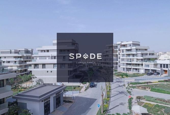 8222641 - Property Image 3