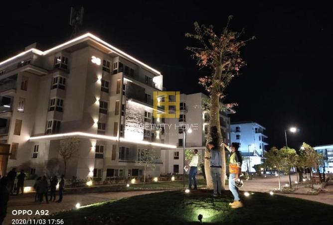 8100155 - Property Image 3
