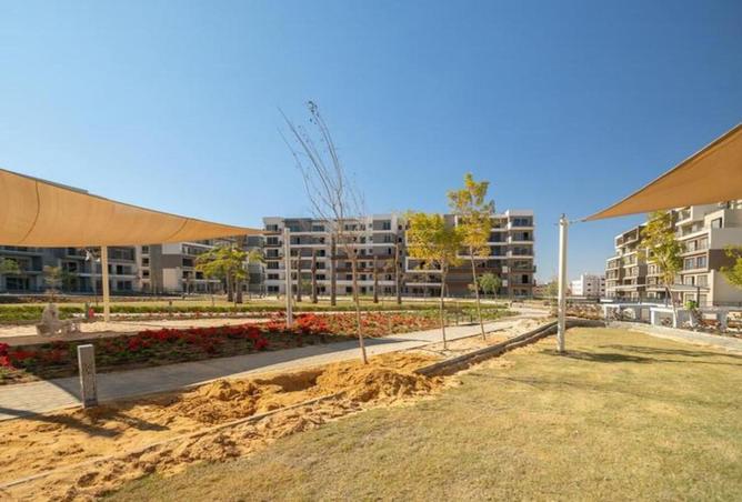 7936300 - Property Image 3