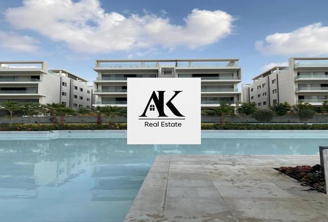 7992397 - Property Image 3