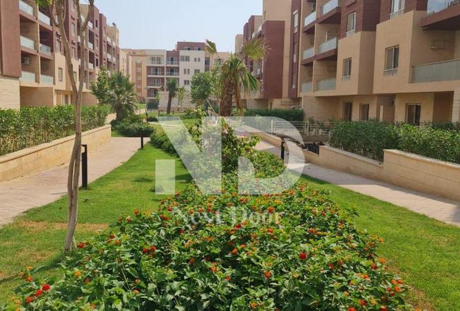 7941758 - الصورة الرئيسية للعقار