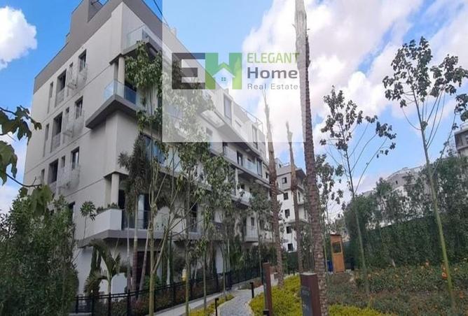 8109839 - Property Image 3