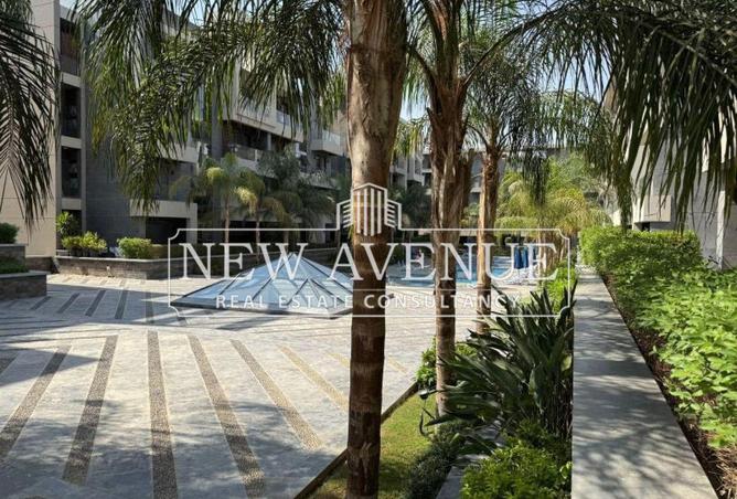 8440230 - Property Image 3